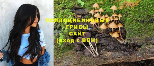 каннабис Абаза