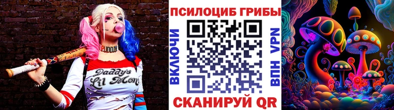 дарнет шоп  Дербент  Галлюциногенные грибы Magic Shrooms 