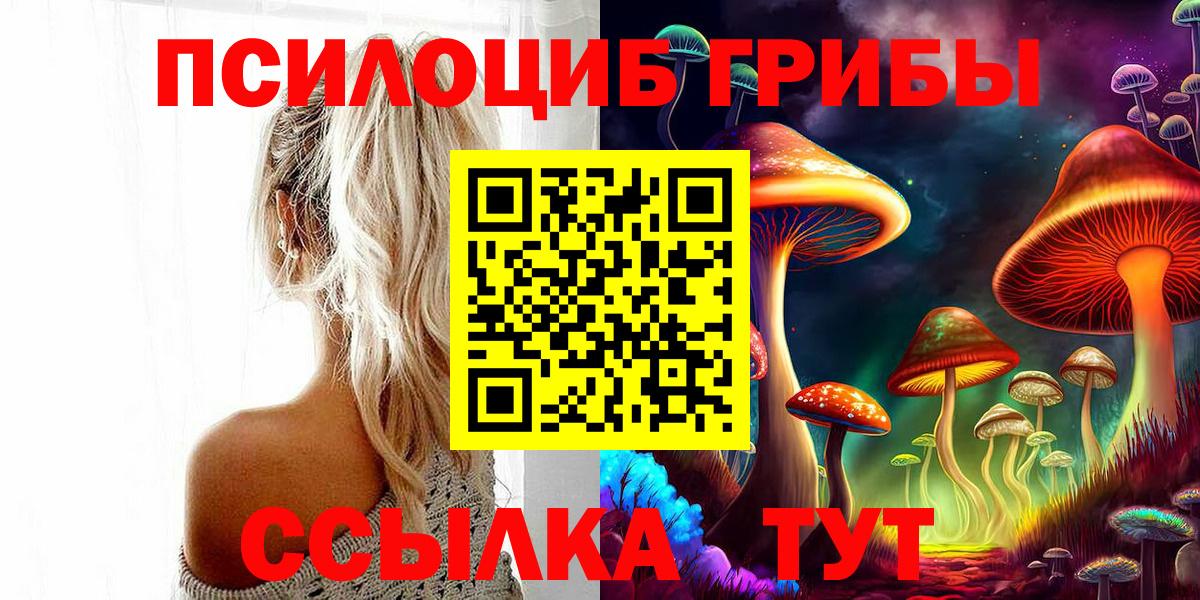 Псилоцибиновые грибы Psilocybine cubensis Дербент