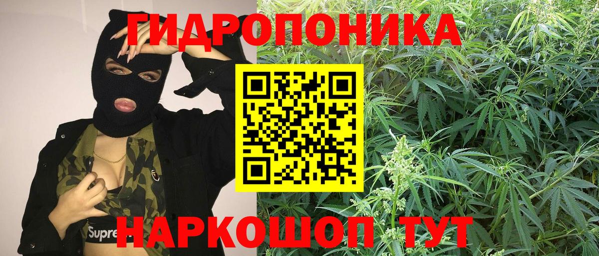 Дербент  МАРИХУАНА индика  Каннабис конопля  Бошки Шишки White Widow  Вход с VPN 